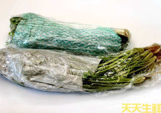 廣州蔬菜配送公司告訴你，蔬菜如何保鮮？(圖2)