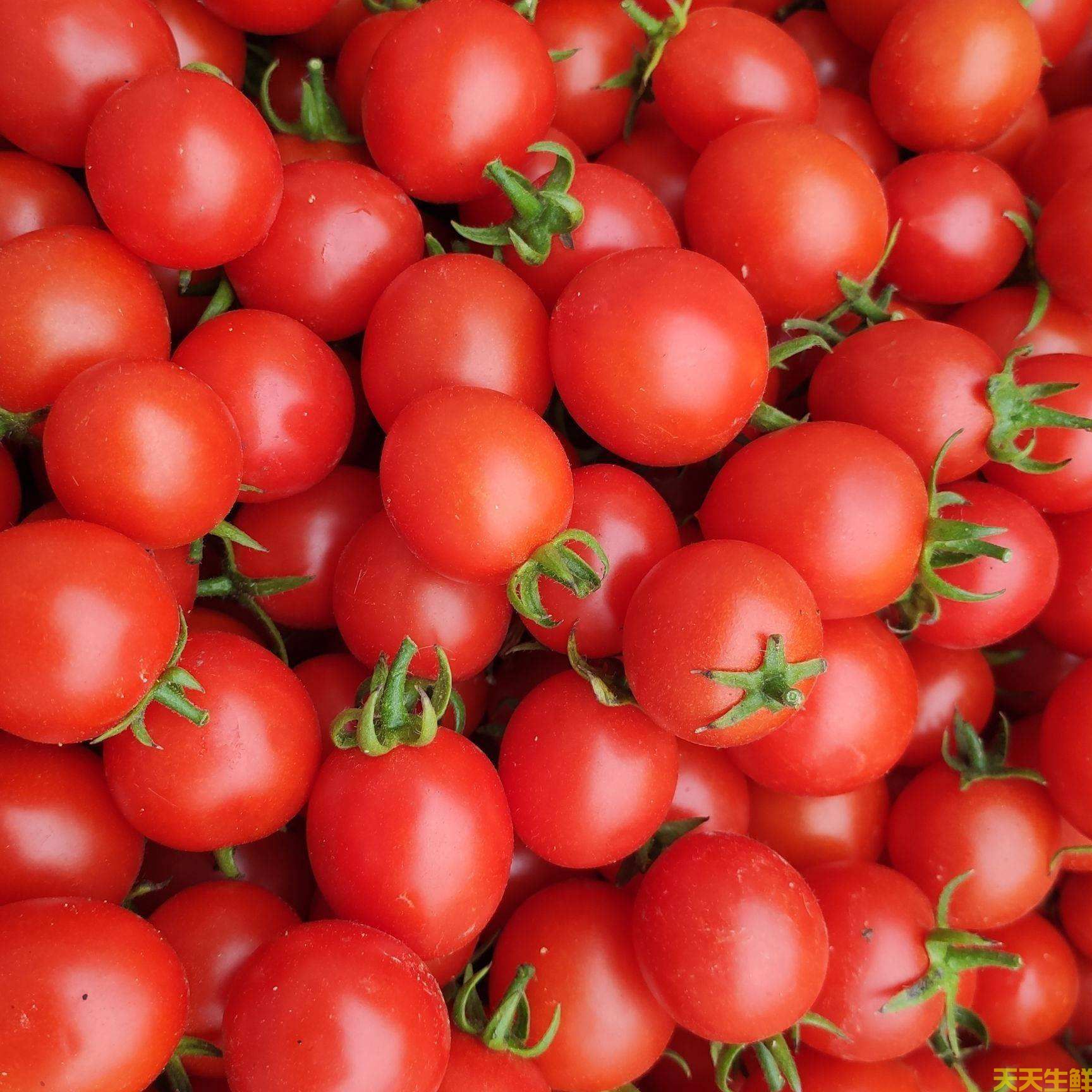 水果配送—圣女果(圖2)