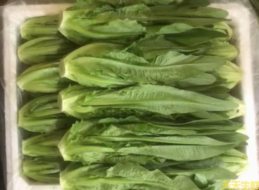 2024年7.8月份蔬菜價格為什么連續(xù)上漲(圖3)